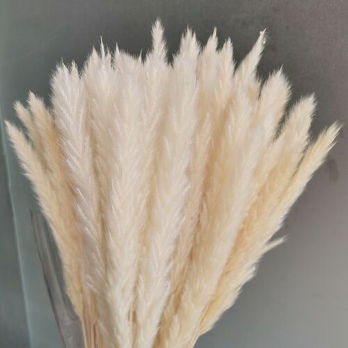 15Pcs Dried Small Pampas Grass Flowers Pantas Artificiales P