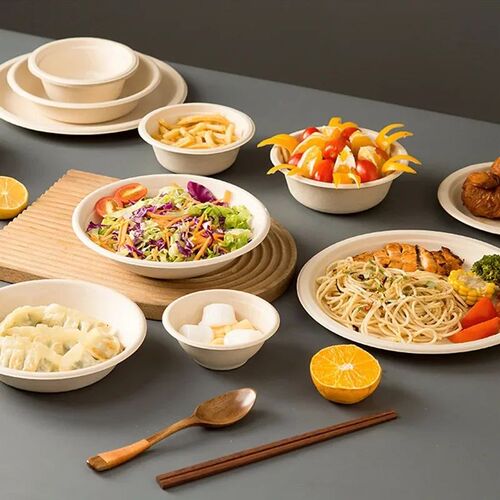 50pcs Degradable Disposable Plates Company Family Gathering