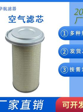 空气偏心滤芯P537791 发电机组滤芯 空气滤清器AF1968