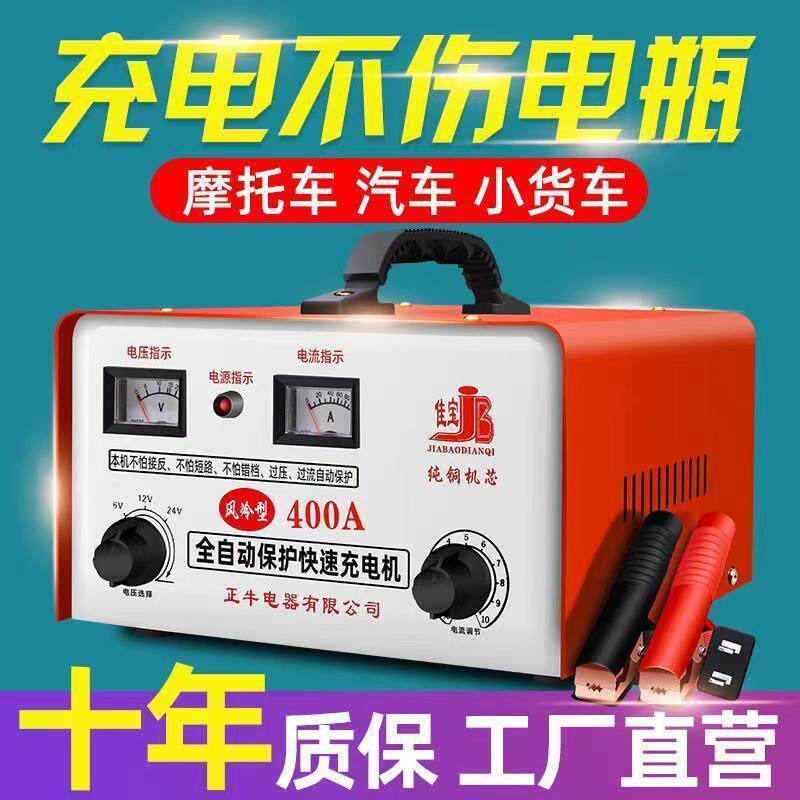 厂家蓄电池充电机摩托汽车电瓶充电器6V12V24V通用纯铜电瓶充电器