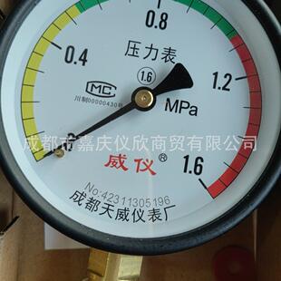 成都天威仪表厂径向压力表Y100 0.6MPA 1MPA 1.6MPA 1.6级螺纹M