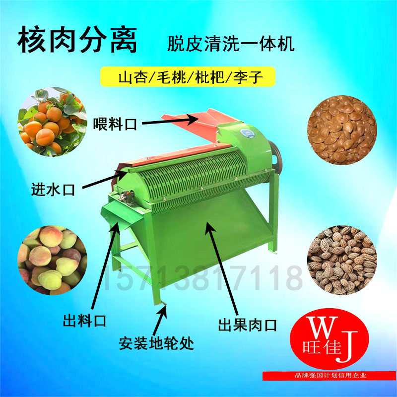 山杏毛桃李子枇杷核肉分离脱皮去皮清洗一体机