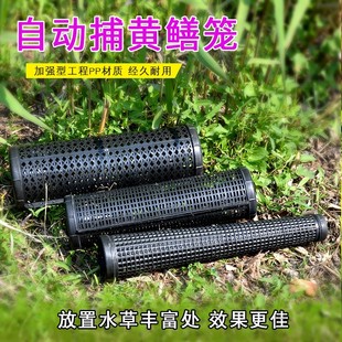 黄鳝笼自动捕鳝笼子鳝鱼笼泥鳅笼塑料鱼笼自制捕鱼虾笼诱饵笼倒须