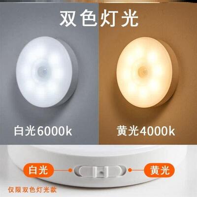 PIR Motion Sensor LED Night Light USB Rechargeable Lamp
