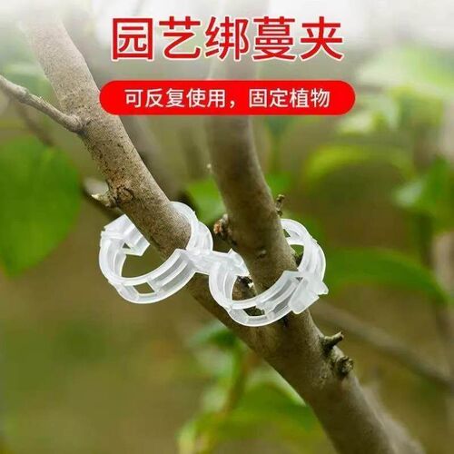 Vine clips for grapes and climbing vegetables, used for guid