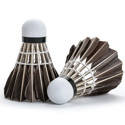 6/12Pcs Professional Badminton Shuttlecock Black Goose Feath