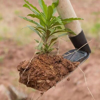 Durable Garden Hoe Household Outdoor Farming Tools Forging W