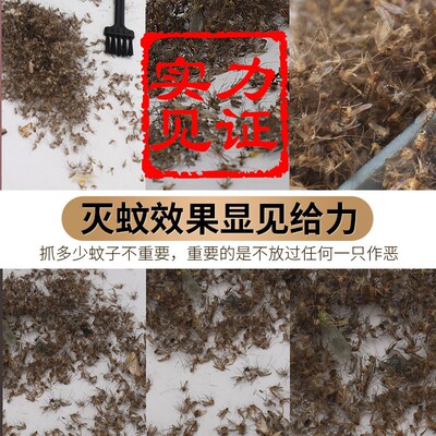 LED Mosquito Killer Lamp Bug Zapper Insect Swatter Trap Flie