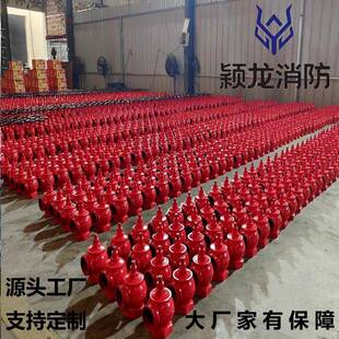 颖龙消防国标SNSW6-B压稳S减压型消防栓S5NSSNSS65-BS65双阀双出