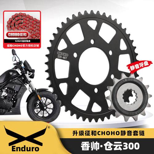 适用香帅苍云300 JOY250机车改装大齿盘三件套链轮征和油封链条