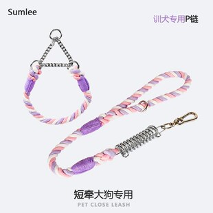 遛狗防咬断狗绳编织项圈中大型犬 近身短牵防爆冲P链牵引绳狗狗