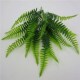 Artificial Persian Lifelike Pla Fake Forks Plant 42cm Leaf