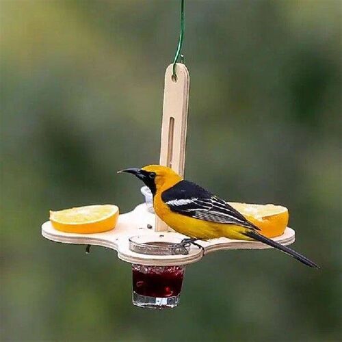 Bird Feeder Station Outside Hang Wild Bird Feeding Station