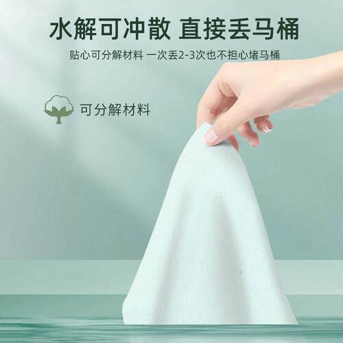 Mini Wet Wipes, Portable and Disposable for Men and Women, S
