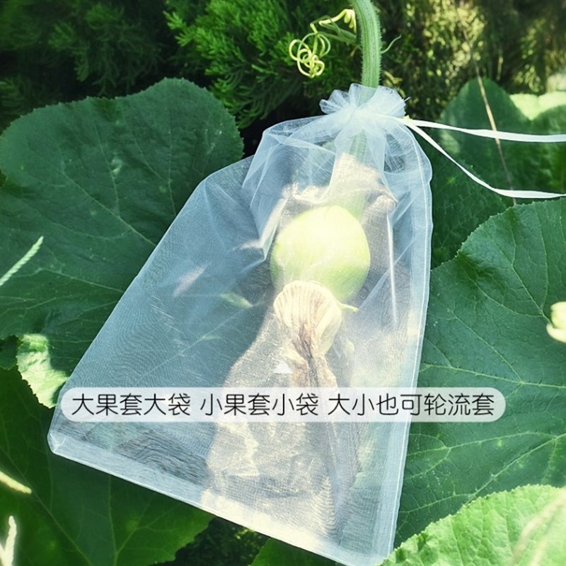 防虫保护袋水果树上包装袋果实袋套袋专用套果袋包果袋批把桃葡萄