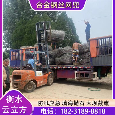 防汛抢险合金钢丝网兜填海抛石钢丝石笼兜防汛抛石柔性集装网采购