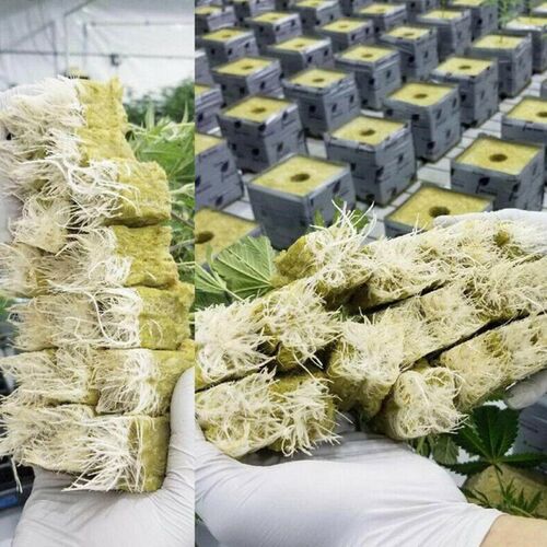 25x25x40mm Mini Compress Base Practical Rockwool Cubes Multi