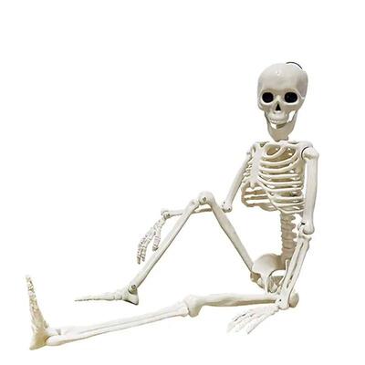 Halloween Movable Skeleton Fake Human Skull Bones Halloween