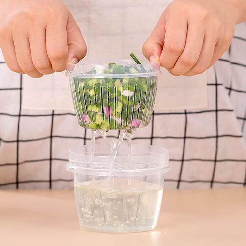 Scallion Storage Box Plastic Refrigerator Food Organizer Tra