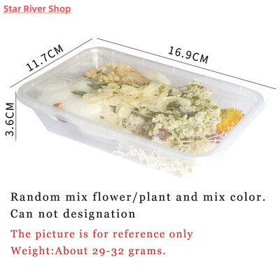 30g/box Dried Flowers for Resin PreservedFreshFlower Dried P