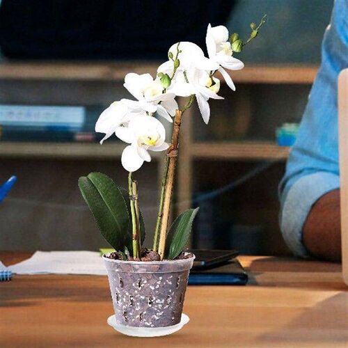 1 large pots for plants outdoor set orchid flowerpot flower