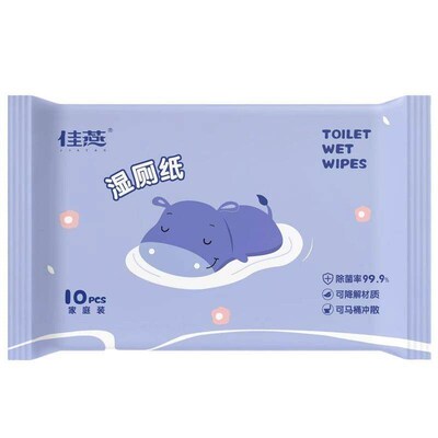 Family Value Pack of Flushable Wet Wipes for Toilets, Specia