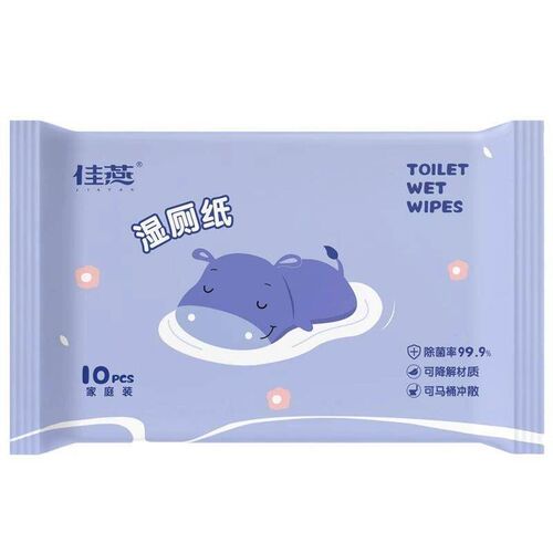 Family Value Pack of Flushable Wet Wipes for Toilets, Specia