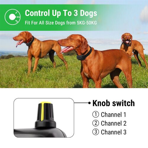 Petrainer 900 1 1000M Electronic Remote Control Dog Trainin
