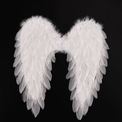 Feather Angel Wings Girls Halloween Costume Christmas