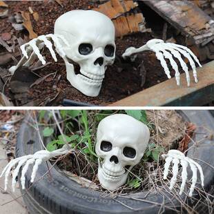 Haunted house horror props Mummified skeletons Halloween dec