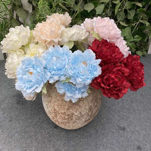 No.5 bundle of peony wedding auditorium arch road guide shoo