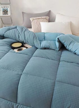 All Season Bedding Comforter Quilt Insert Blanket Duvet Bed