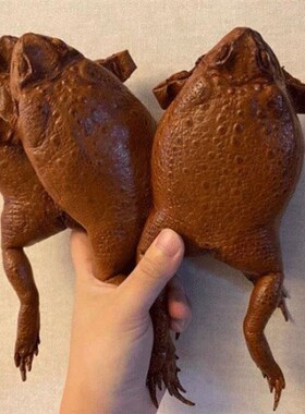 Sugar Cane Toad full-body purse 2022蟾蜍蛤蟆全身钱包外贸跨境