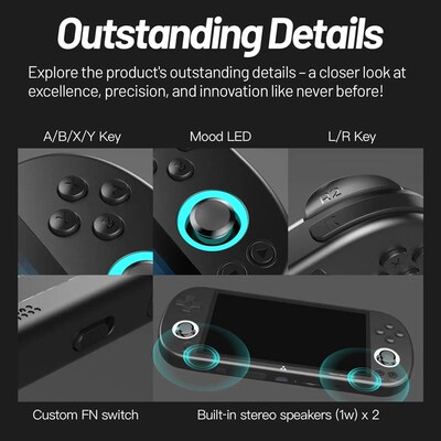 Trimui Smart Pro Consoles 4.96 IPS Screen Handheld Game Pl