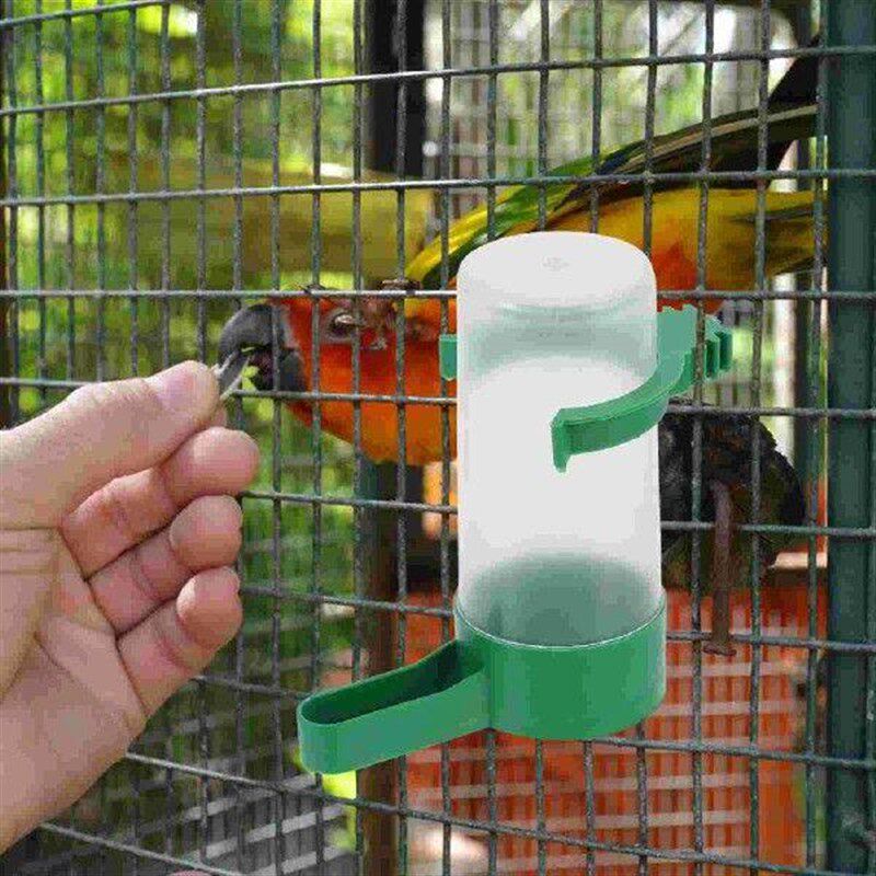 10 Pcs Bird Waterer Can Pigeon D