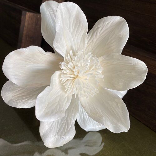Plant Handmade Flower Flower Home Decoration Dried Flower Fl