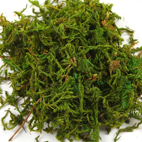 30g/bag 60g/bag Building model materials,green moss, turf, m