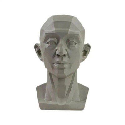 Art Plaster Head Teaching Aids Simulation Head Classroom