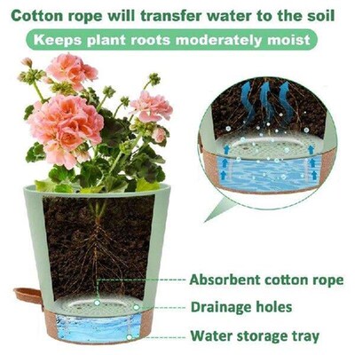 3Pack 6.5Inch Self Watering Pots For Indoor Plants,Flower