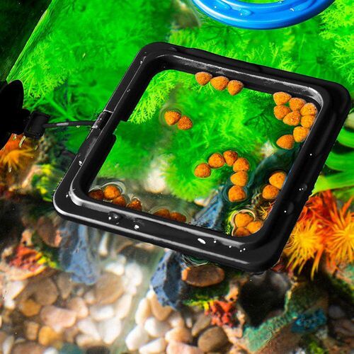 Fish Feeding Aquarium Fish Tank Ring Feeder Station Floating