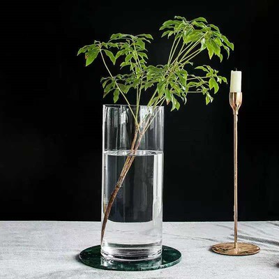 Transparent Straight Glass Vase Floor Thickened Horse Drunk