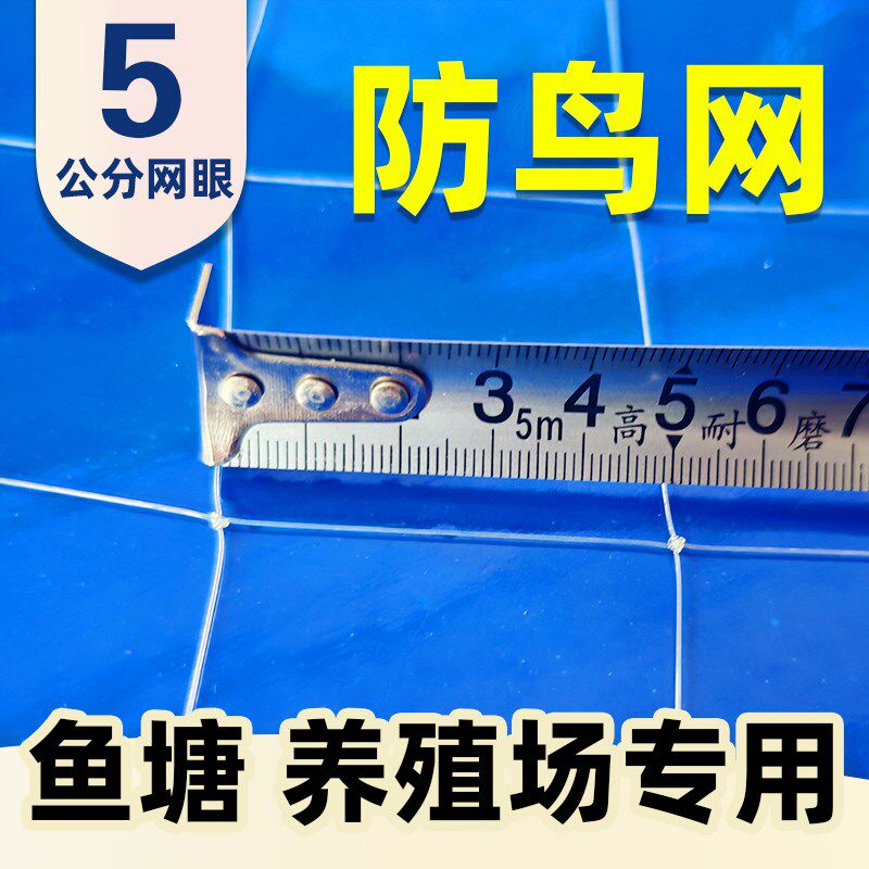 鱼塘稻田防鸟网天网5厘米网孔池塘养殖泥鳅青蛙龙虾尼龙网防白鹭