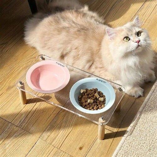 Single/Double Bowl Cat Bowl with Acrylic Stand Increased