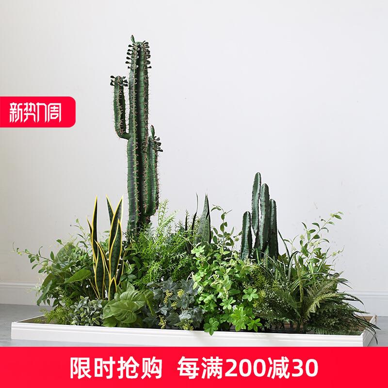 大型仿真植物景观仙人掌盆栽仙人柱植物餐厅酒店橱窗组合摆件装饰