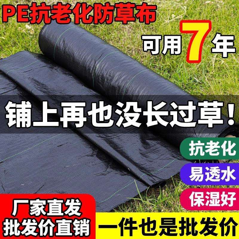 防草布农用除草盖草抑草布果园果树园艺地布透气透水打孔切片加厚