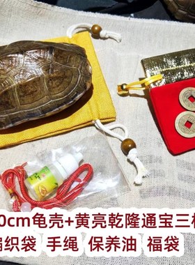 龟壳卜龟壳占挂龟壳易经卦工具龟壳六爻龟甲摇卦工具龟壳精品