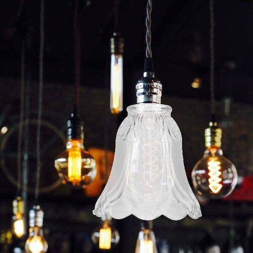 Frosted Glass Lampshade for Hanging Light Bulb Cage Covers