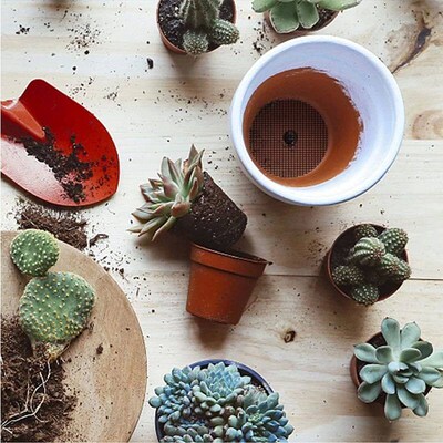 5/10Pcs Garden Flower Pot Mesh Pad 20x30cm Plant Planter Bot