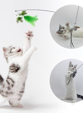 Interactive Cat Toy Funny Simulation Feather Bird with Bell