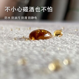 阳台地垫冬季大厅地毯客厅高级感卧室秋冬灰色免洗2023新款加厚